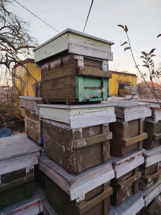 Кошери магазини тенекии