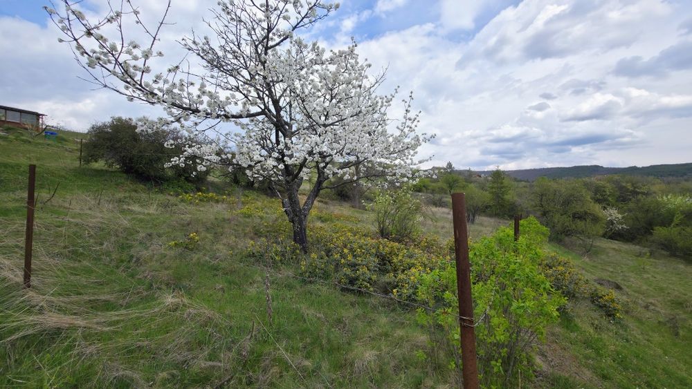 Продава се парцел в село Долна Диканя с гледка към язовира