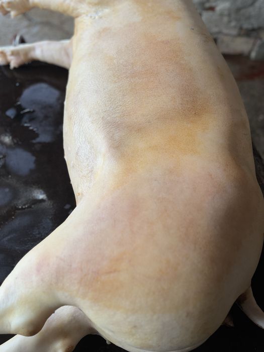 Свинско прясно месо