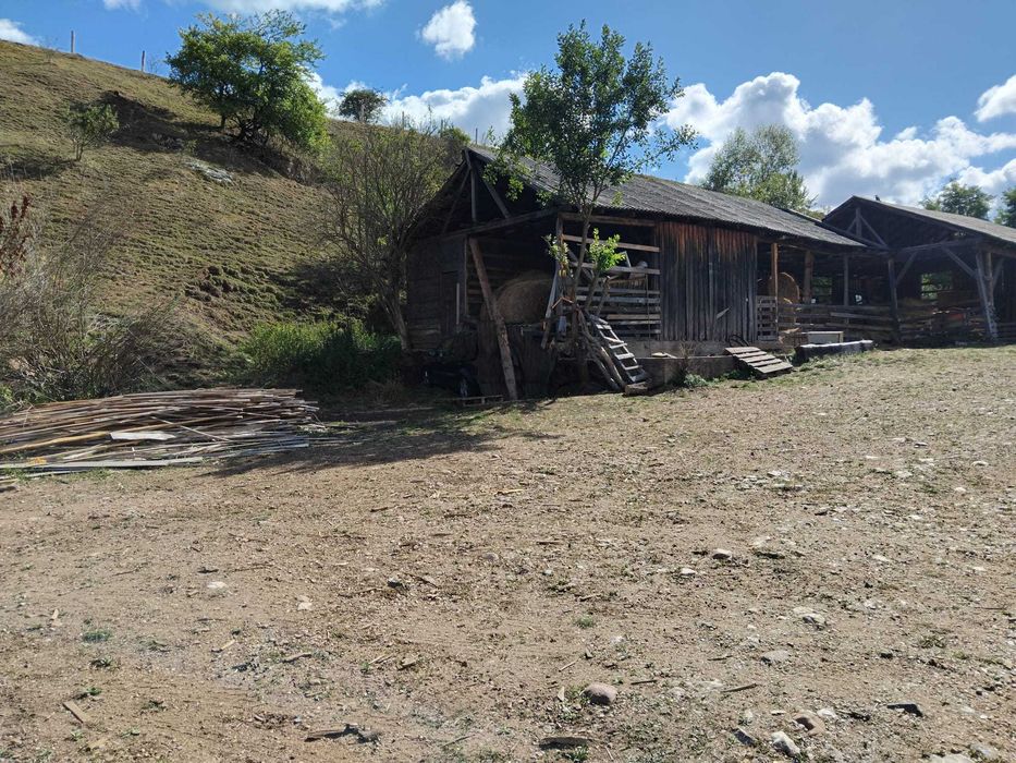 Teren 6.733 mp cu utilități, asfalt și construcții – ideal pentru casă/cabană - Vedere 2