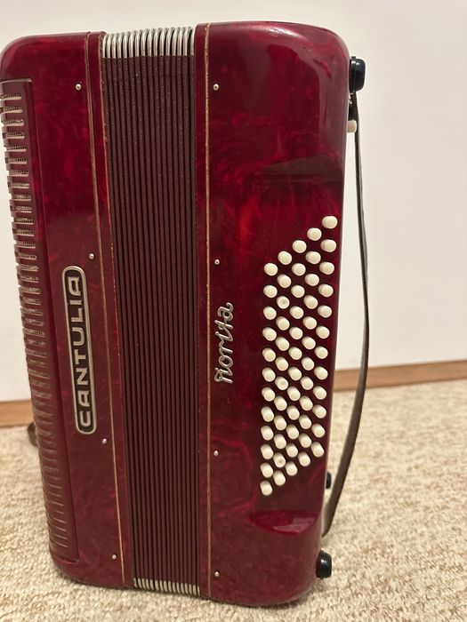 Acordeon! 60 de basi