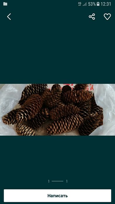 Шишки...шишки...шишки