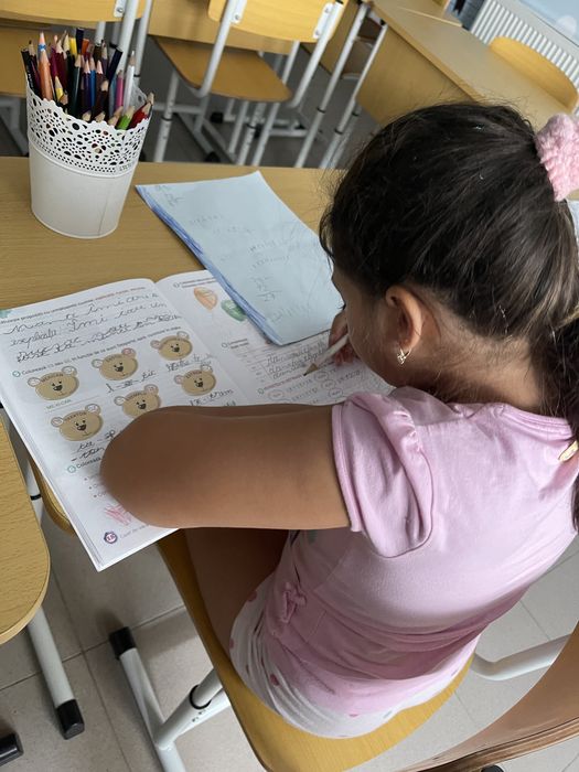 Ofer pregătire/meditații pentru învațământul primar și preșcolar