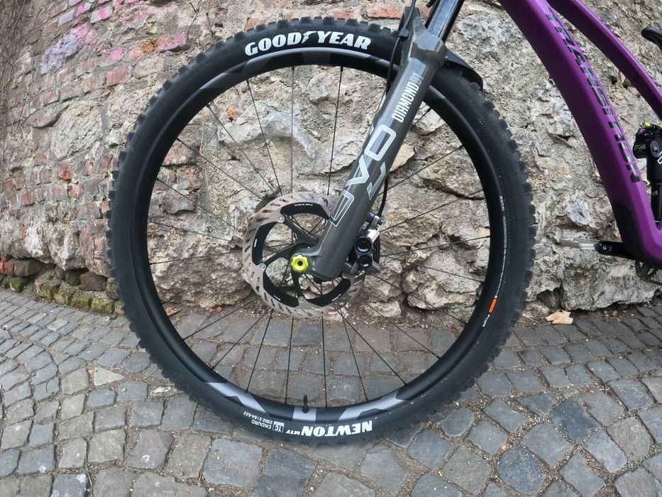 Transition Sentinel Carbon Deep Purple 2025 L