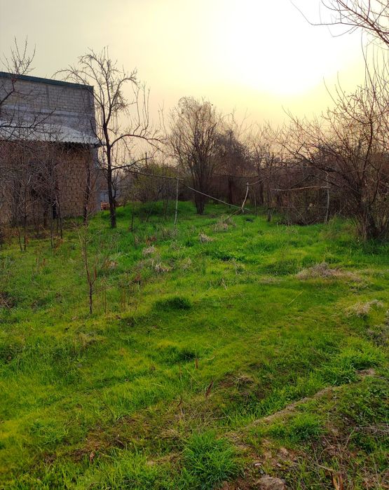 Земля,дача Навбахор