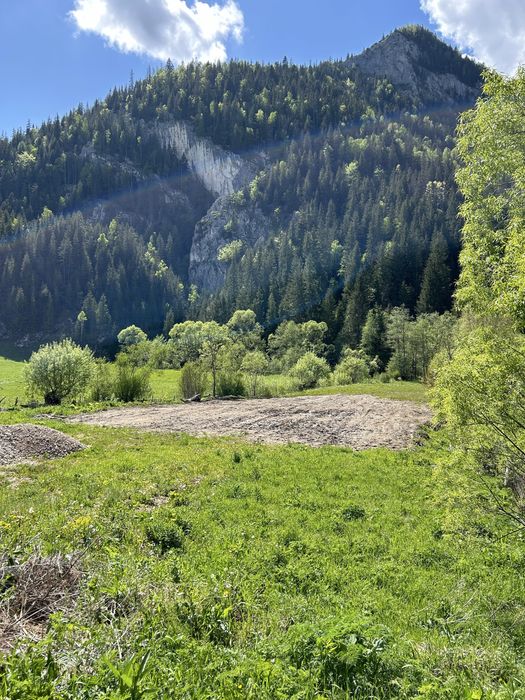 Teren intravilan Trei Fantani