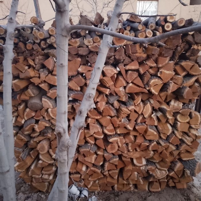 Утин дрова сотилади мева