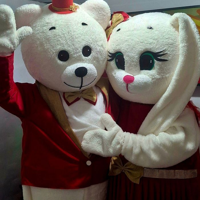 Мишки Тедди прокат костюмов