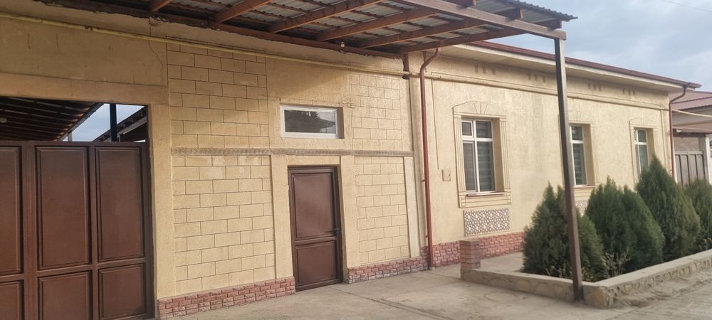 6 sotixli kotdej sotiladi