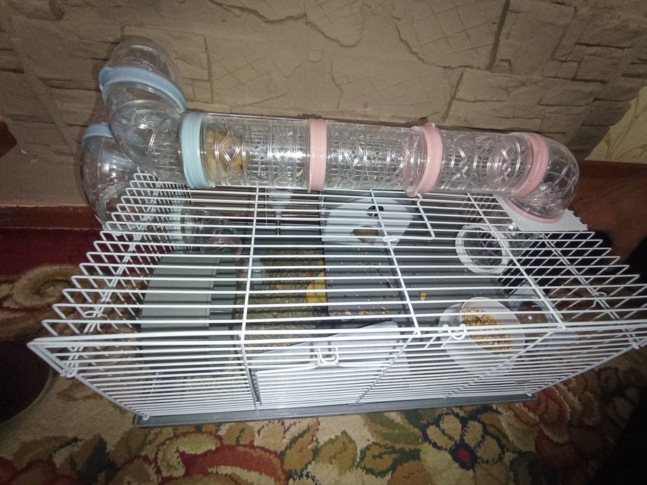 Hamyak harhil ranglari bor