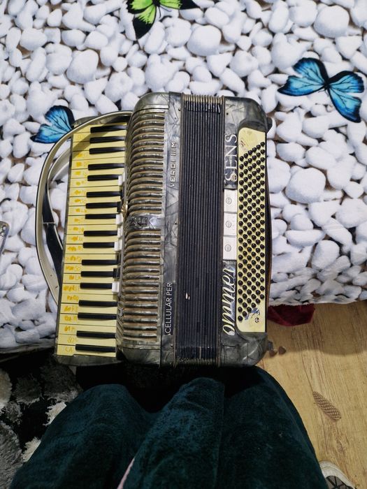 Acordeon  Hohner VERDI III M