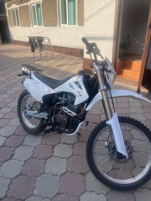 Эндуро 06 172 мотор