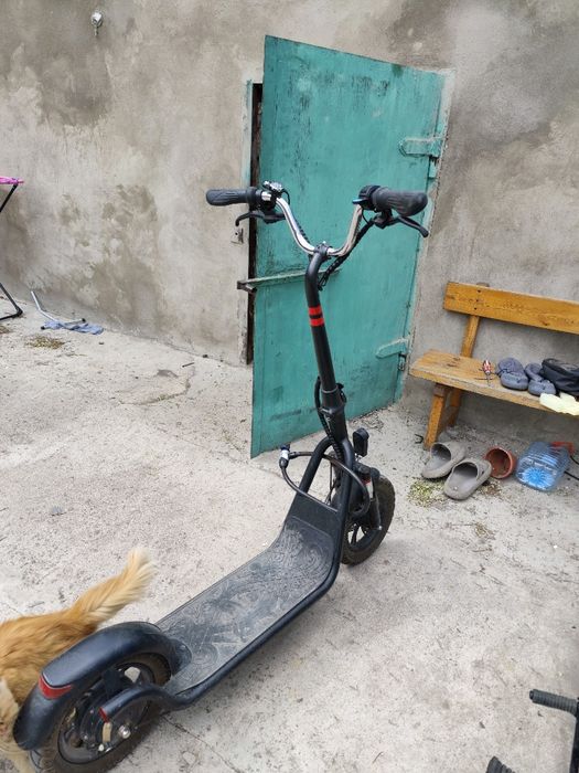 Электросамокат Tribe Drakkar