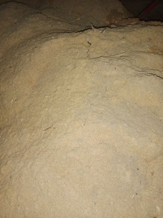 Опилка таза ағаштан.