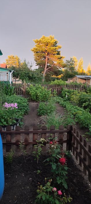 Продам дачу в ст Звёздочка