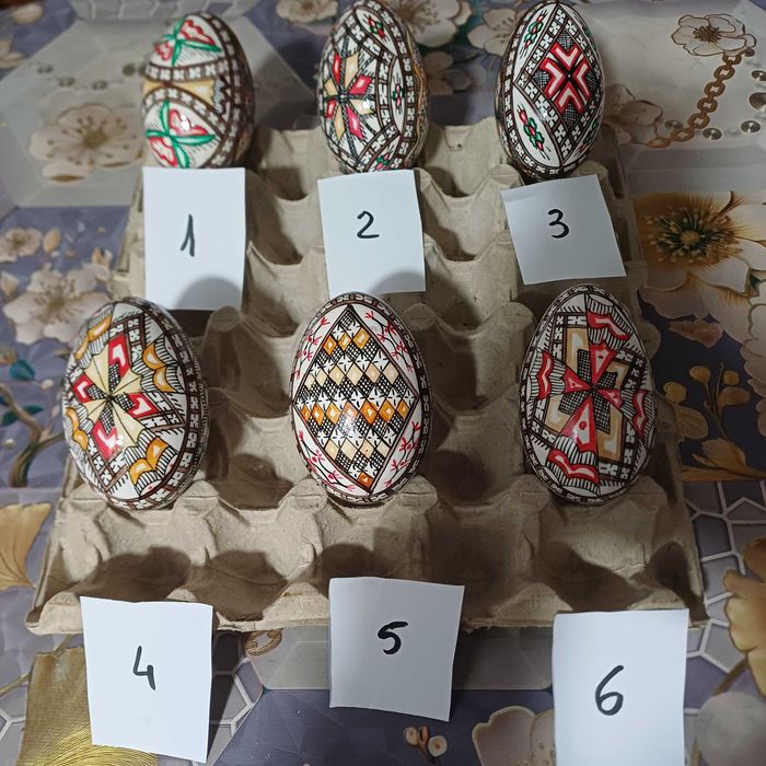 5 oua incondeiate de gasca