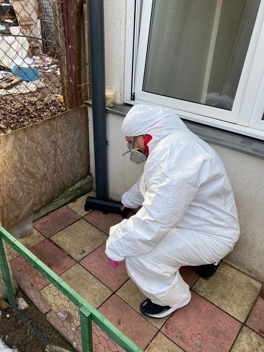 Dezinsecție ploșnițe garanție 100%