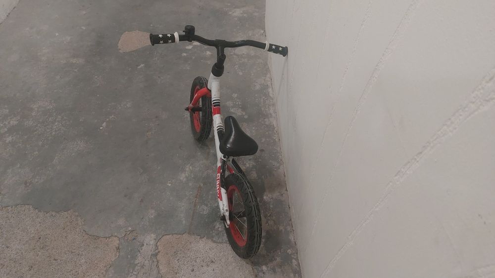 Баланс колело Ферини