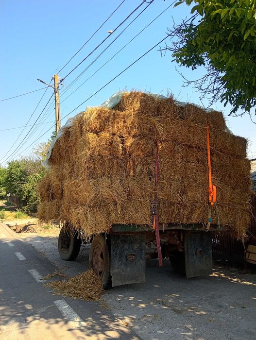 Baloți lucernă 15 lei balotul gostinu