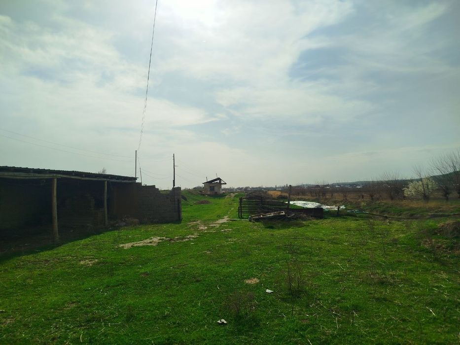 Срочна прадаётция ферма Босталикски районе пасёлка Таваксайе с землёй