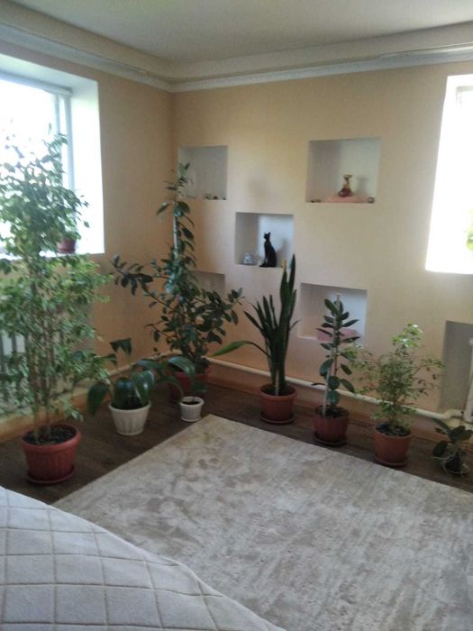 Продам дом в Коктал-2