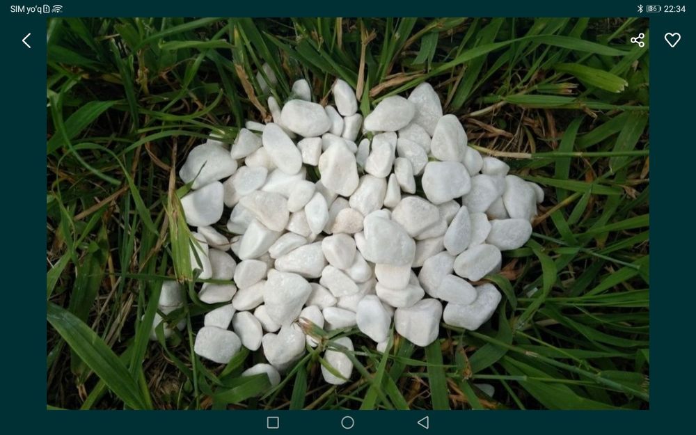 Ландшафтний камин галка