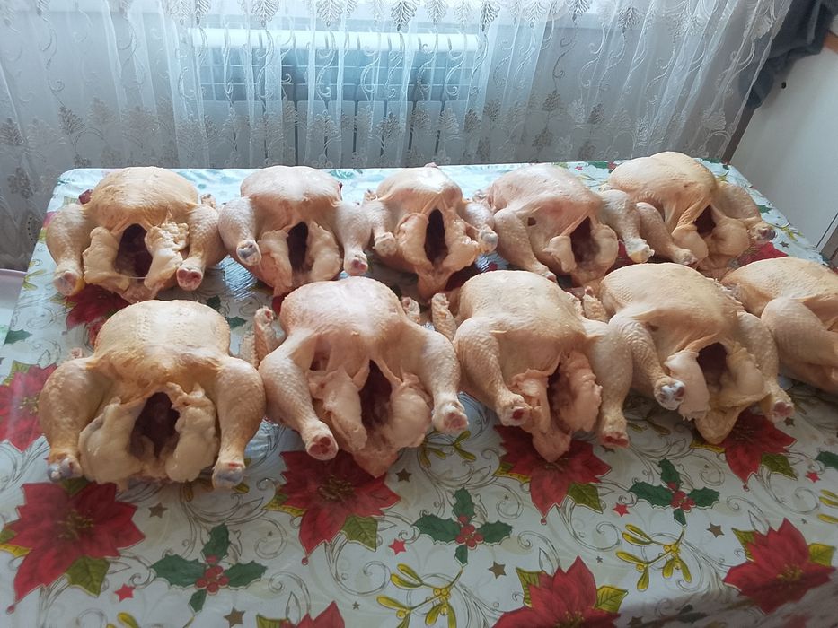 Продам домашних бройлеров!