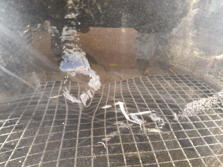 Usa dreapta spate Seat Leon 3 5F [2012 - 2016] 1.4 tsi CMBA