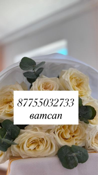 Гүл сатылады  (Уральск)