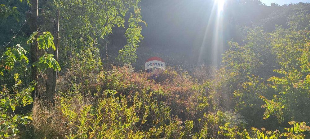 Продава се Къща в с. Ново Оряхово, Област Варна - 80 кв.м за 1032 €/кв.м - Снимка #10