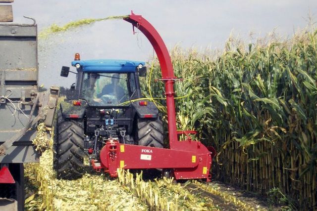 Кукурузоуборочный комбайн, маккажухорини силос киладиган комбайн