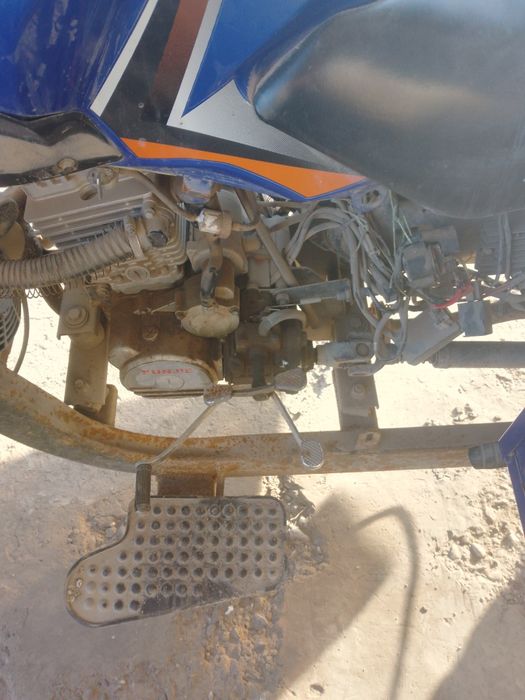 Moraviy motsakil honje holati normalli