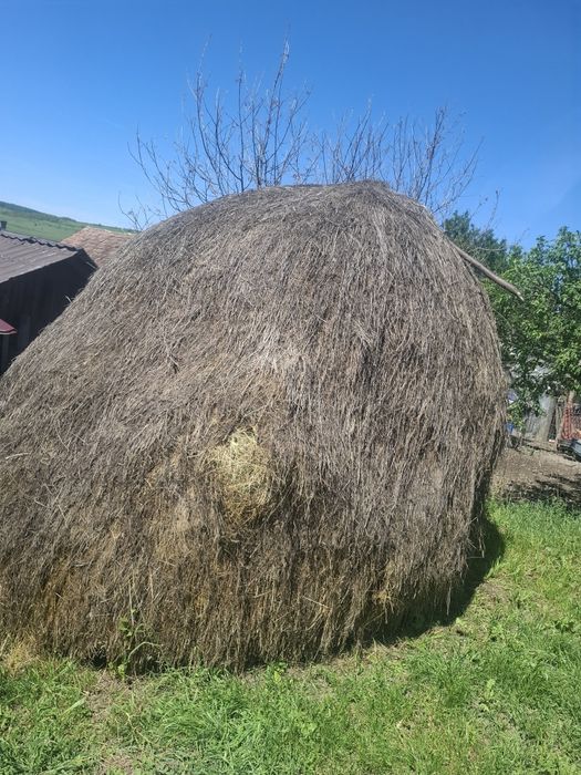 Vand claie de fan