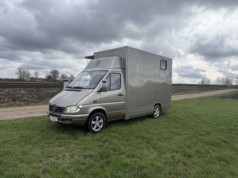 Vand autoutilitara transport cai stare impecabila