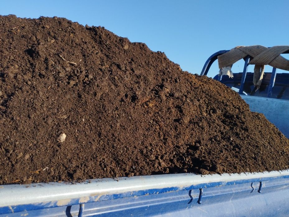 перегной и чернозём