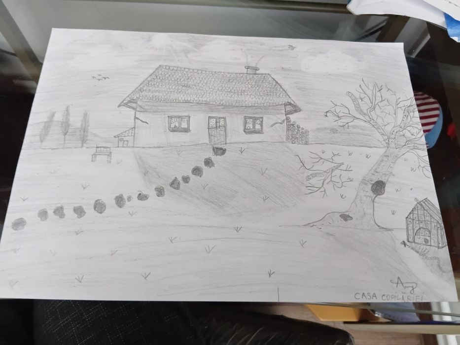 Desen de pus in ramă, editie limitata CASA COPILĂRIEI