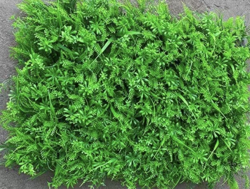 самшит , газон , искусственные коврик