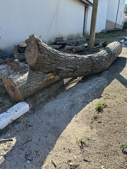 Орех, дънер за дървен материал