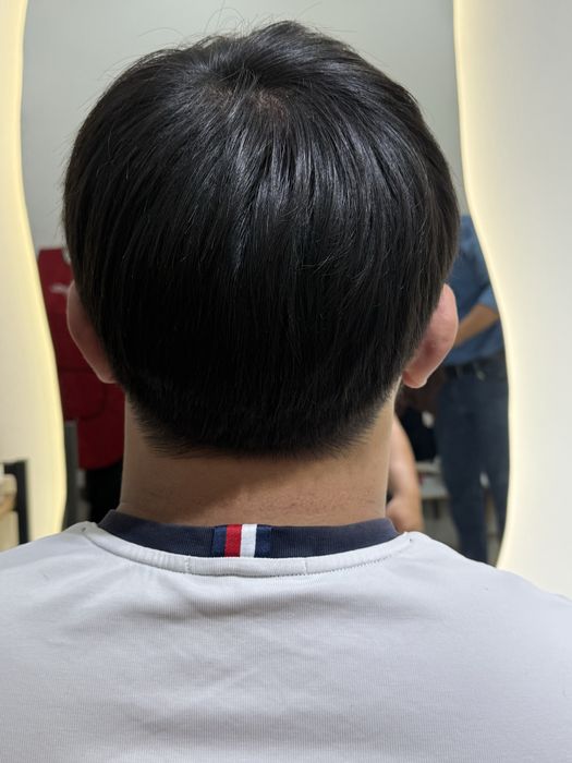 Бесплатно требуются модели