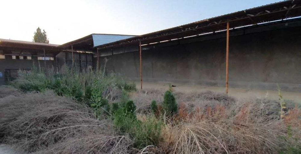 Назарбек РыбХоз ховли сотилади