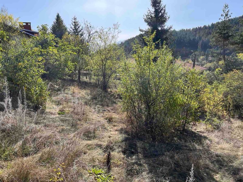 Продава се Парцел в с. Широки дол, Област София-област - 1403 кв.м за 19 €/кв.м - Снимка #3