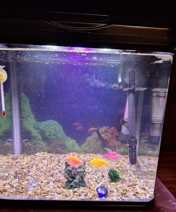 ПОДАРЯВАМ аквариум с рибки