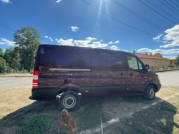 Mercedes sprinter 313