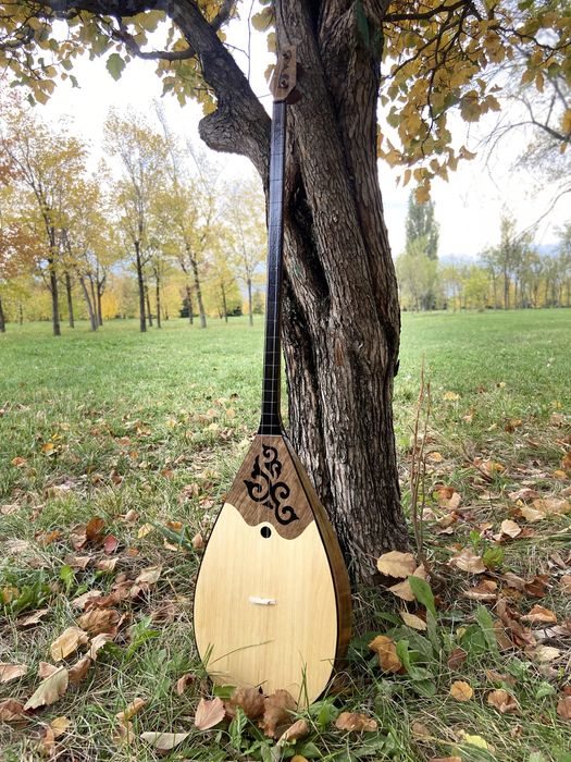 Жиде ағашынан Домбыра Домбра чехол