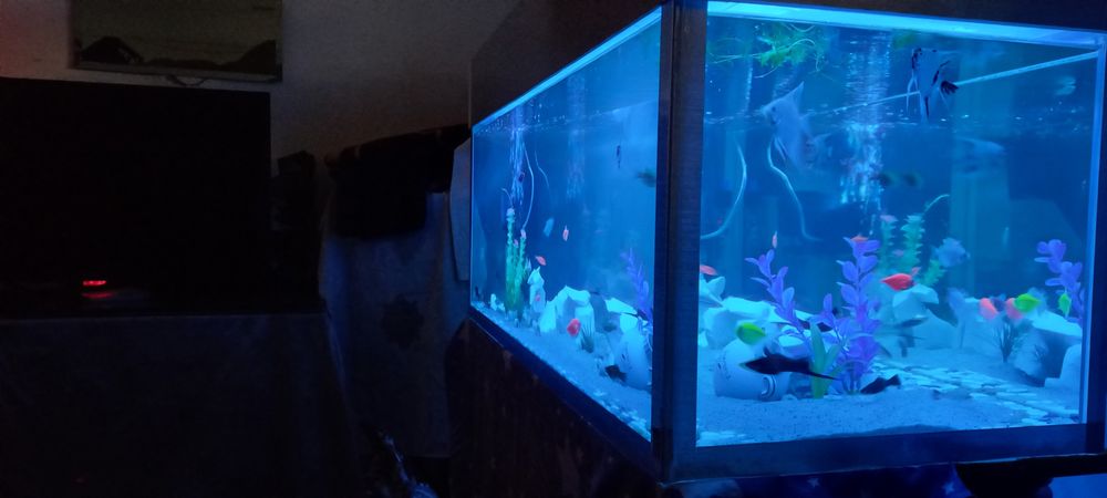 Akvarium na zakaz evro kromka est kachestviniy. Akvarium zakazga evro