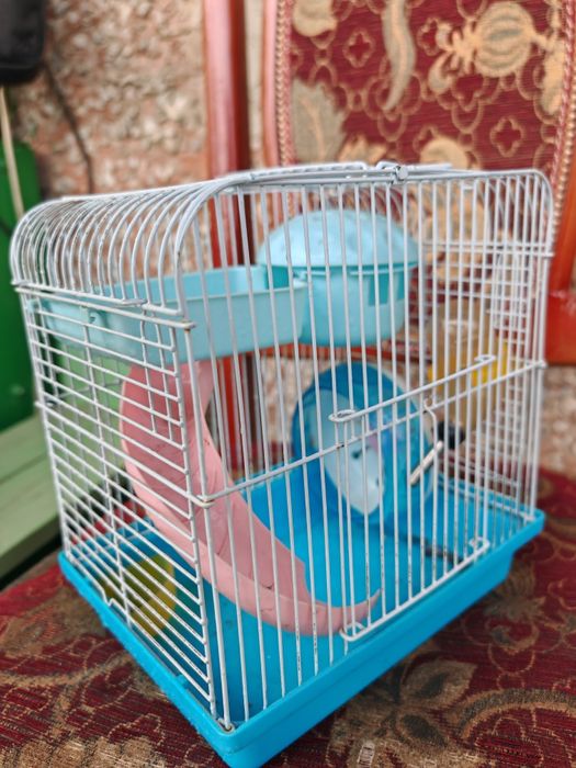 Клетка для Хомика