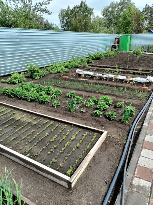 Дача текстильщиков2