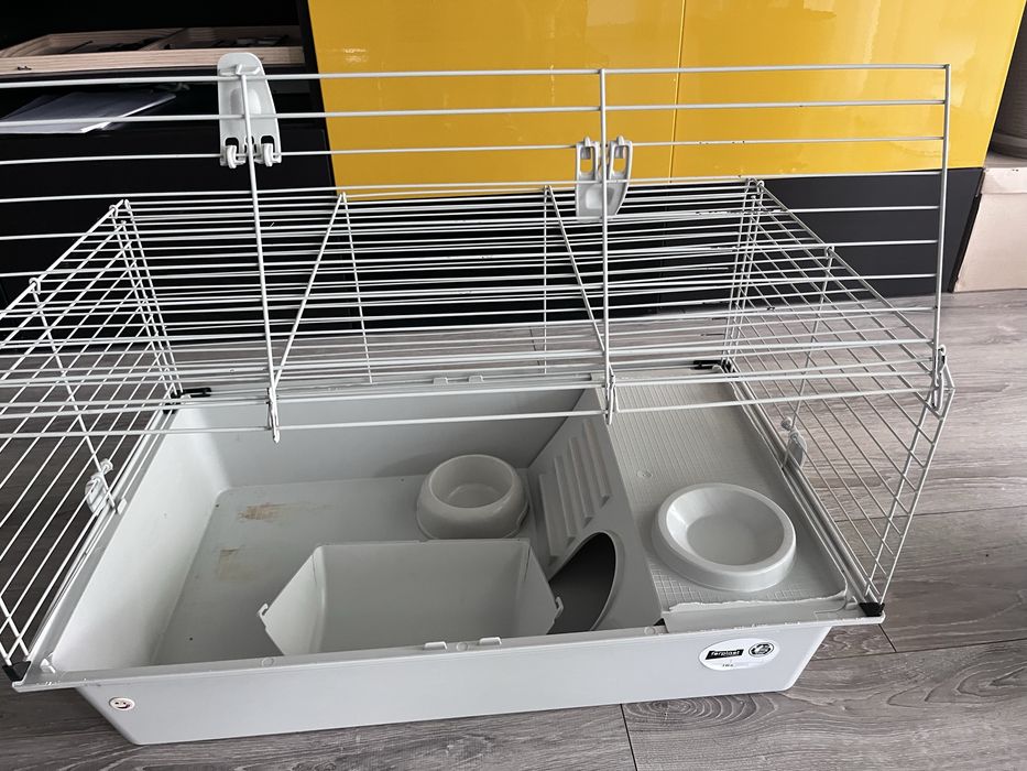 Cusca iepure de companie