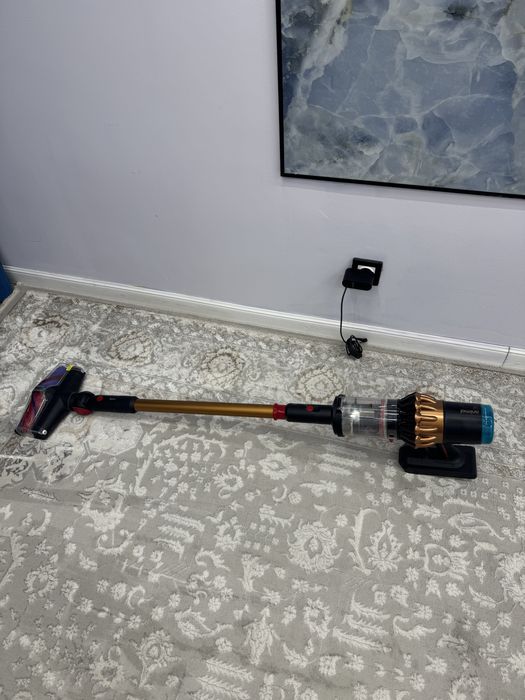 Dyson DS60 Piston Animal Submarine
