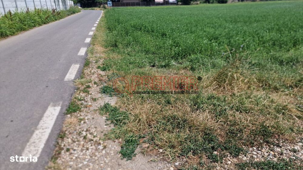 Teren intravilan 9.470 mp – Bolintin-Deal, locație excelentă